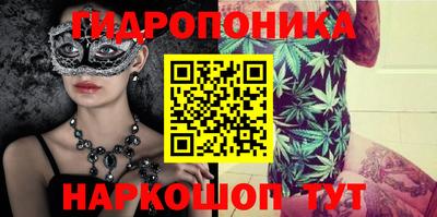 a pvp Аргун