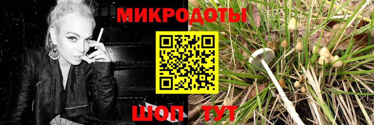 Псилоцибиновые грибы Psilocybine cubensis Астрахань